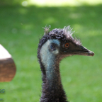20120803_152648_00320.jpg