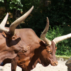 20120803_152850_00323.jpg