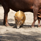 20120803_152859_00324.jpg