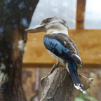 20120803_153024_00326.jpg