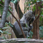 20120803_153343_00332.jpg