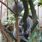 20120803_153701_00342.jpg