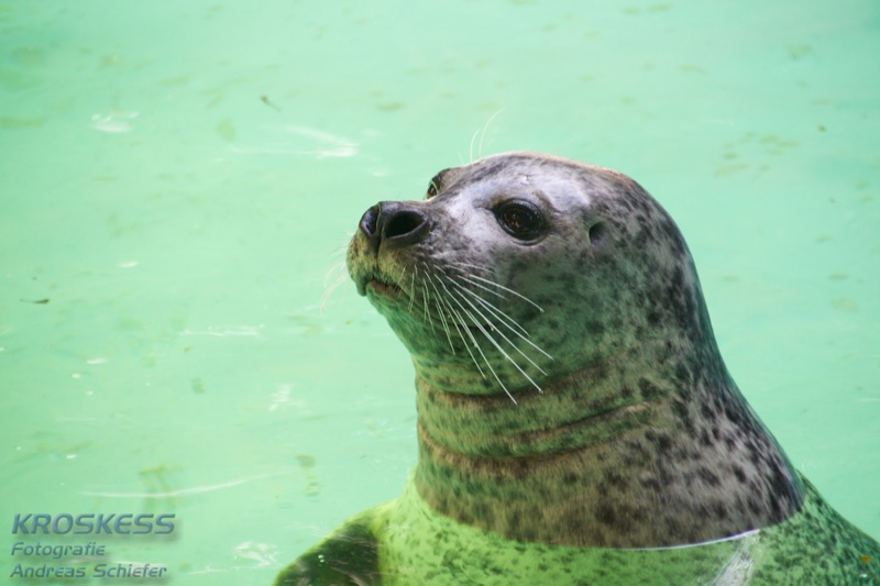 20120803_155143_00356.jpg