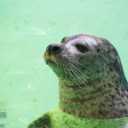 20120803_155143_00356.jpg