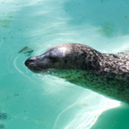 20120803_155224_00357.jpg