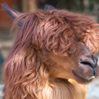 20120803_161349_00367.jpg