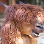 20120803_161351_00368.jpg