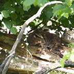 20120803_161852_00370.jpg