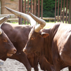 20120803_162052_00374.jpg