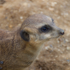 20120803_162146_00375.jpg