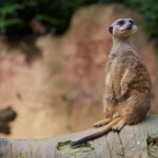 20120803_162250_00379.jpg