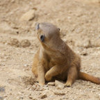 20120803_162431_00387.jpg
