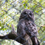 20120803_162741_00392.jpg