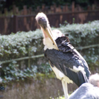 20120803_164303_00409.jpg