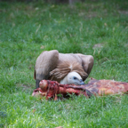 20120803_164332_00412.jpg