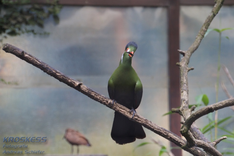 20120803_164506_00413.jpg