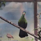 20120803_164506_00413.jpg
