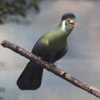 20120803_164806_00419.jpg