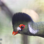 20120803_164943_00424.jpg