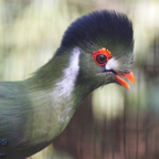 20120803_164950_00425.jpg