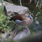 20120803_165032_00428.jpg
