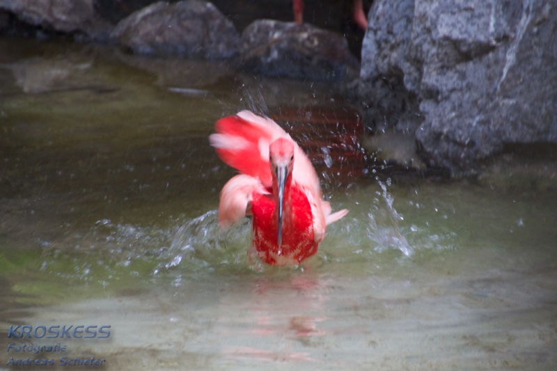 20120803_165214_00430.jpg