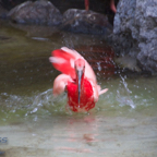 20120803_165214_00430.jpg