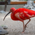 20120803_165413_00437.jpg