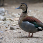 20120803_165446_00438.jpg