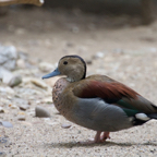 20120803_165501_00440.jpg
