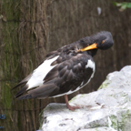 20120803_165628_00446.jpg