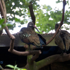 20120803_165854_00451.jpg