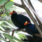 20120803_165922_00453.jpg