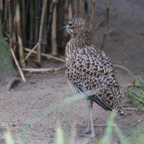 20120803_170111_00459.jpg