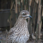 20120803_170151_00462.jpg