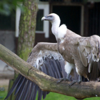 20120803_170409_00467.jpg