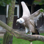 20120803_170421_00468.jpg