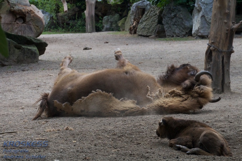 20120803_170551_00470.jpg