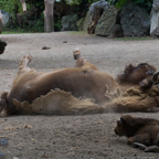20120803_170551_00470.jpg