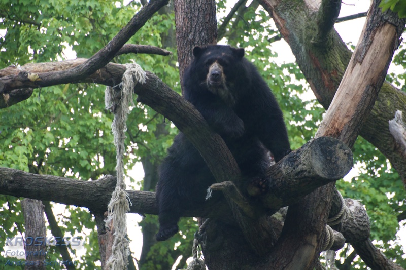 20120803_170738_00475.jpg