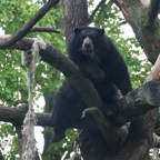 20120803_170738_00475.jpg