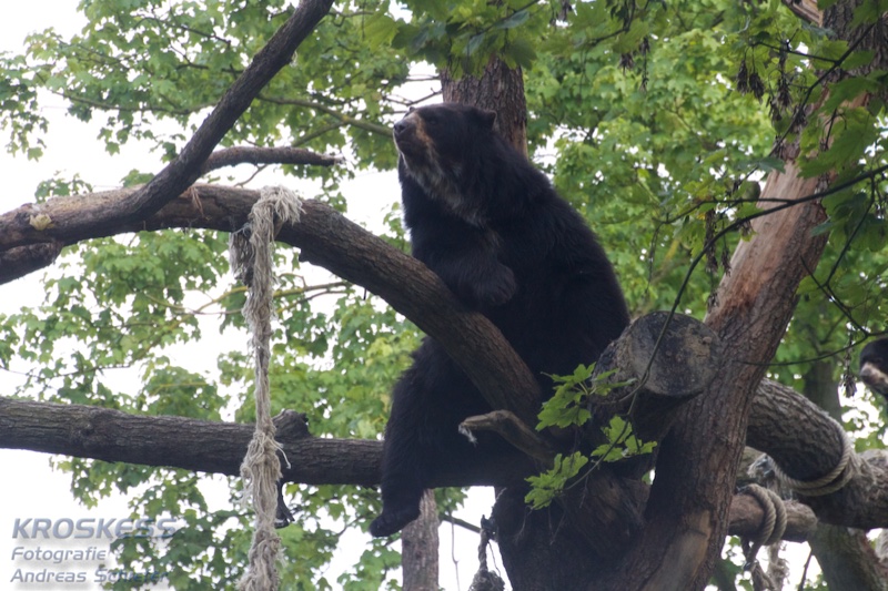20120803_170843_00478.jpg