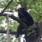 20120803_170843_00478.jpg