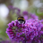 20120803_171720_00483.jpg