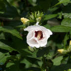 20120803_171902_00488.jpg