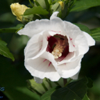 20120803_171912_00490.jpg