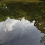 20120803_173303_00506.jpg
