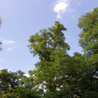 20120803_174413_00518.jpg