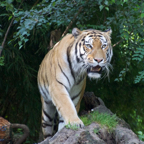 20120803_174436_00519.jpg