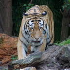 20120803_174528_00523.jpg